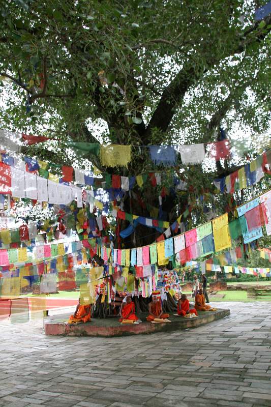 India & Nepal 2011 - 0660